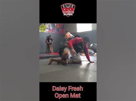 pedigo submission fighting|Daisy Fresh .
